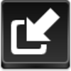 Import Icon Image