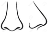 Free Cartoon Nose Clipart Image