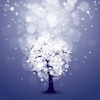 1066 1 Image