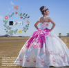 Quinceanera Dress Designers Image