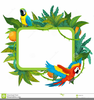 Tropical Border Clipart Image