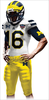 Mich Sugarbowl Jerseys Image