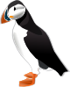 Puffin Md Clip Art