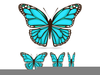 Butterfly Wing Designs Image