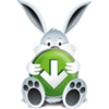 Download Bunny Image