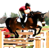 Equestrian Eventing Kentucky Derby Days Airborne Steed Image