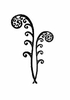 Fiddlehead Fern Clipart Image