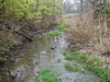 Water Image