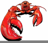 Lobster Clipart Images Free Image