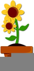 Myspace Flower Clipart Image