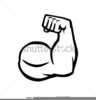 Flexed Arm Drawing Image