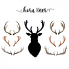 Deer Antlers Clipart Free Image