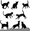 Katze Grafik Clipart Image