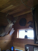 Inside Deer Blind Image