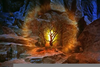 Clipart Of Moses And Burning Bush Image