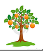 Tree Animation Clipart Image