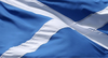 Saltire Image