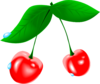 Cherry Clip Art