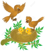 Baby Birds Clipart Image