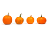 Pumpkins In A Row E L Image