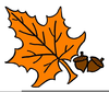 Free Leaves Clipart Images Image