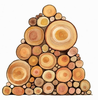 Pile Of Logs Clipart Image