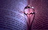 Love Friendship Wallpaper Image