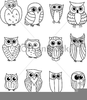 Free Clipart Of Owls Image