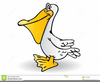 Pelican Cartoons Clipart Image