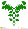 Clipart Caduceus Image