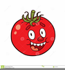 Cartoon Tomato Clipart Image