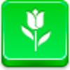 Tulip Icon Image