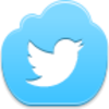 Twitter Bird Icon Image