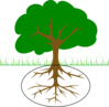 Treeroots Clip Art