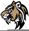 Cougar Mascots Clipart Image