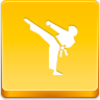 Karate Icon Image