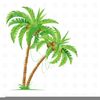 Clipart Palm Trees Image