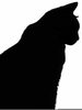 Cat Sillouette Clipart Image