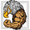 Golden Eagle Clipart Image