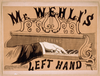 Mr. Wehli S Left Hand Image