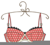 Bra Image Clipart Image