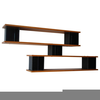 Shelves Contemporary Design Image