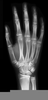 X Ray Technician Clipart Image