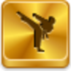 Karate Icon Image