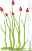 Plant Illustrations Clipart Image