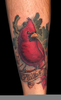 Realistic Cardinal Tattoo Image