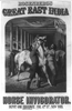 Rosenberg S Great East India Horse Invigorator Image