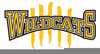 Go Wildcats Clipart Image