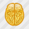 Icon Brain 5 Image