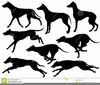 Clipart Racing Dogs Image